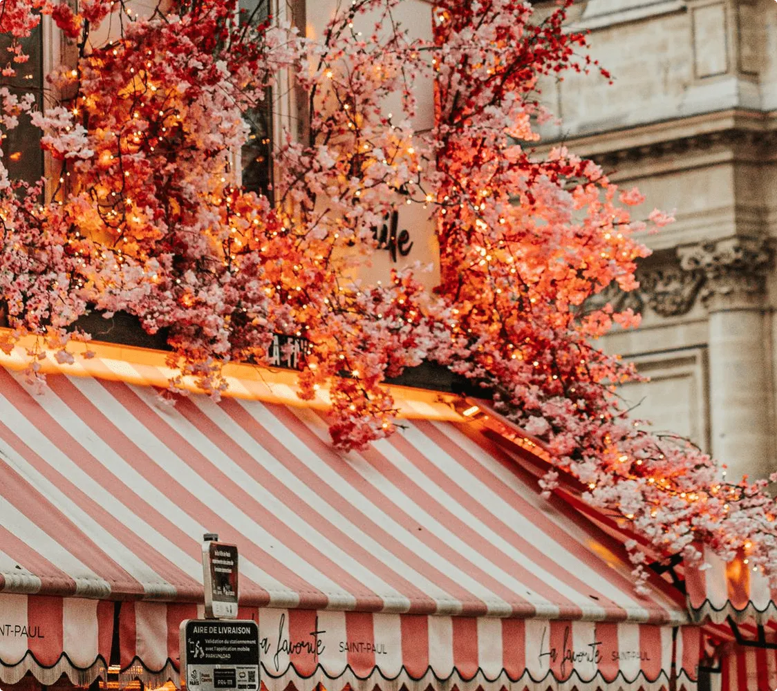 Conseil commercial utilisateur