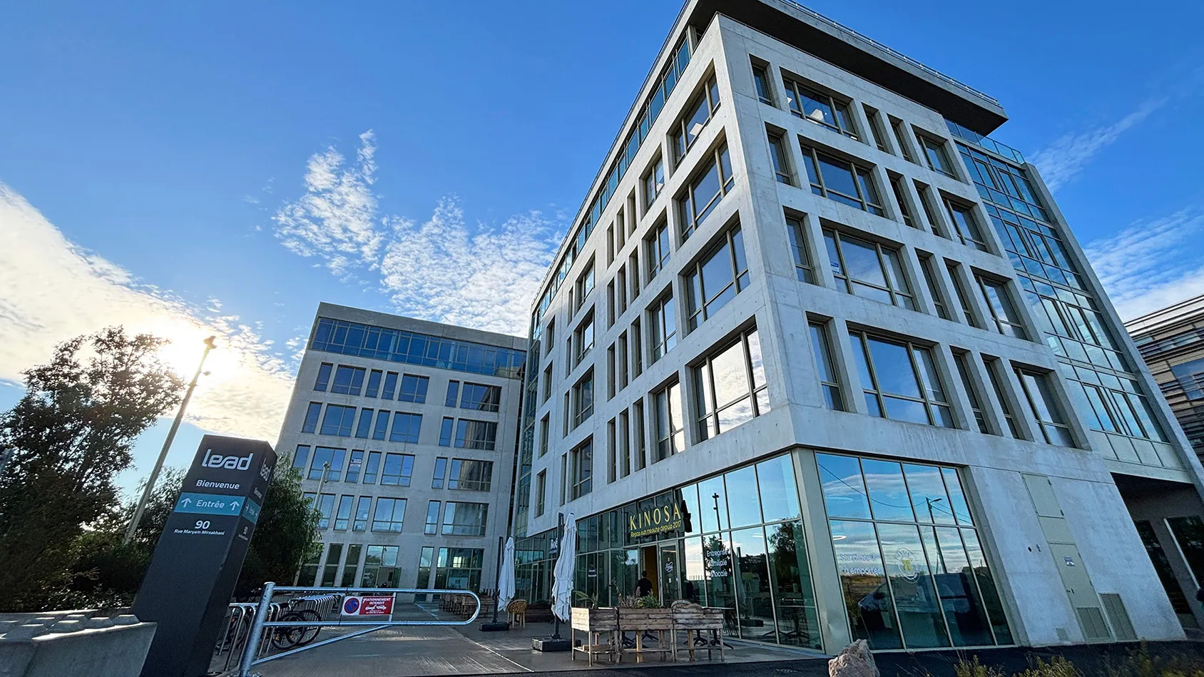 Lead - ©Arthur Loyd Occitanie Lead