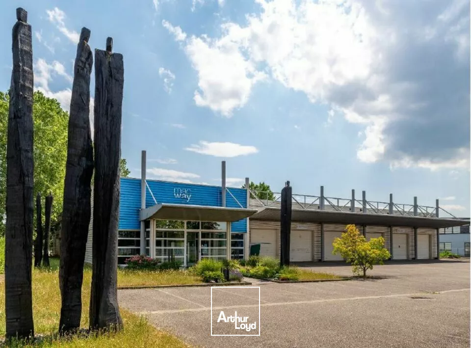 LOCAL D'ACTIVITE - ENTREPOT à LOUER de 2380 m²