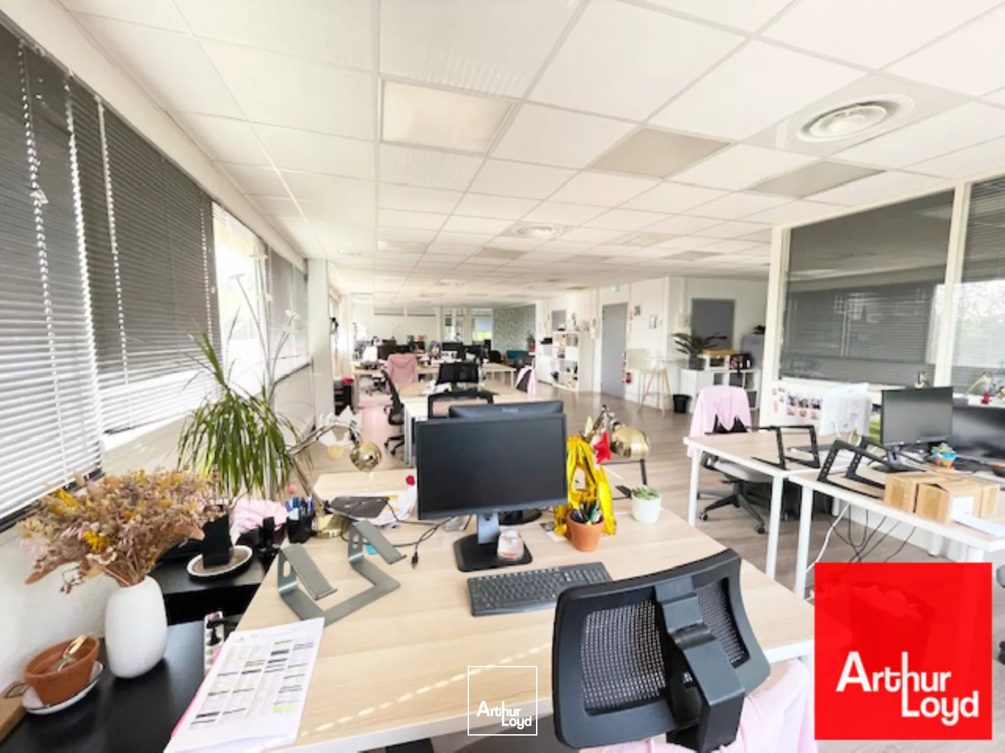 BUREAUX A LOUER 180 M² - GOLF DE MASSANES BAILLARGUES