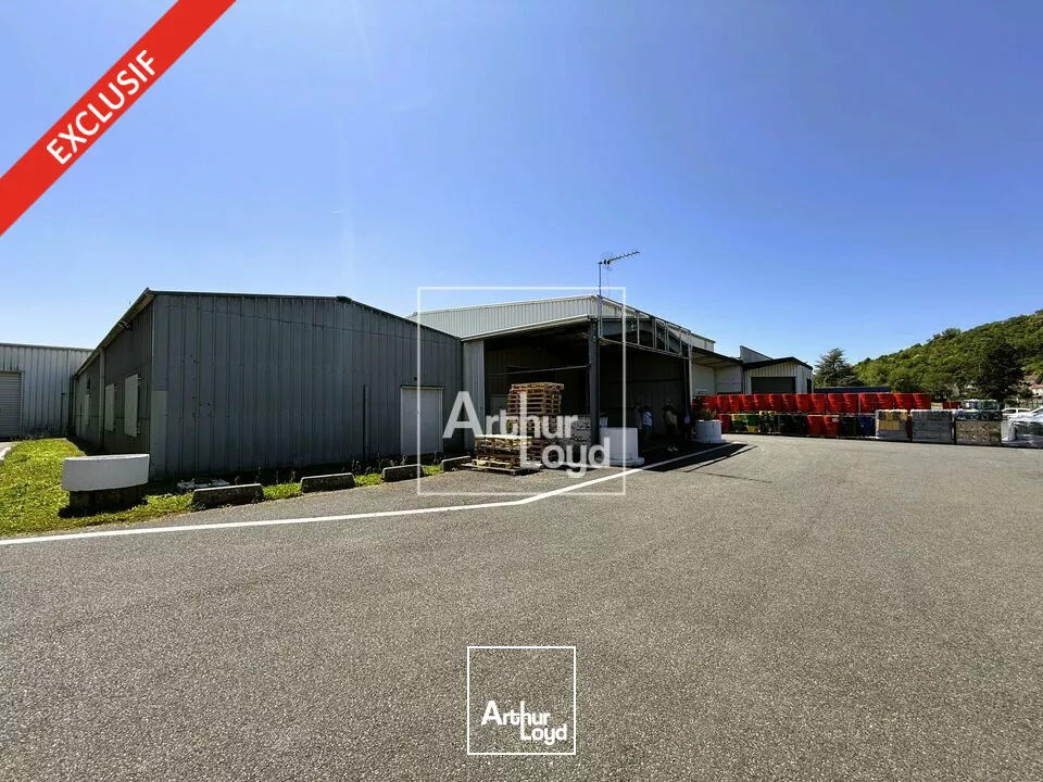 A LOUER - LOCAL D'ACTIVITE - EXCLUSIVITE