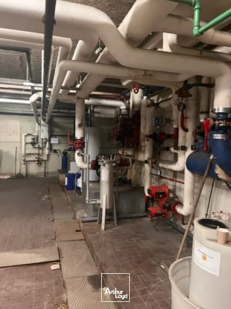 Entrepôt rénové en bail commercial 7 985 m² Le Blanc-Mesnil - Triple accès A1/A3/RER - 12 docks - Bornes électriques