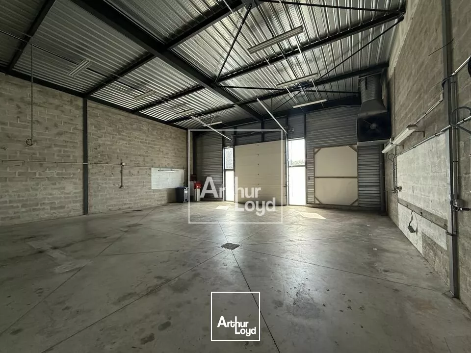 BRIE COMTE ROBERT - PETITE SURFACE