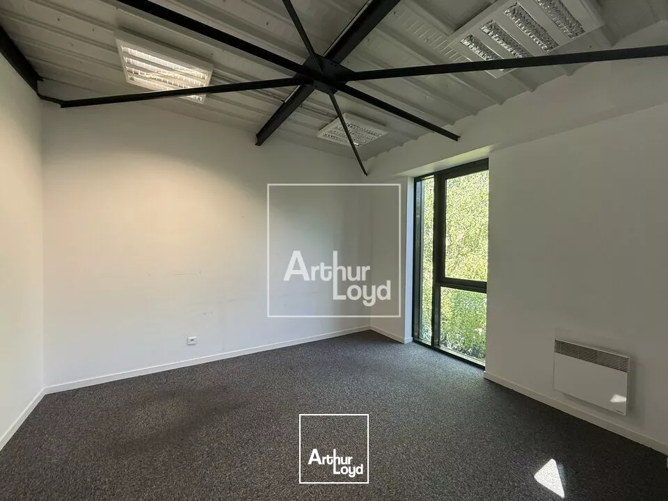 BRIE COMTE ROBERT - PETITE SURFACE