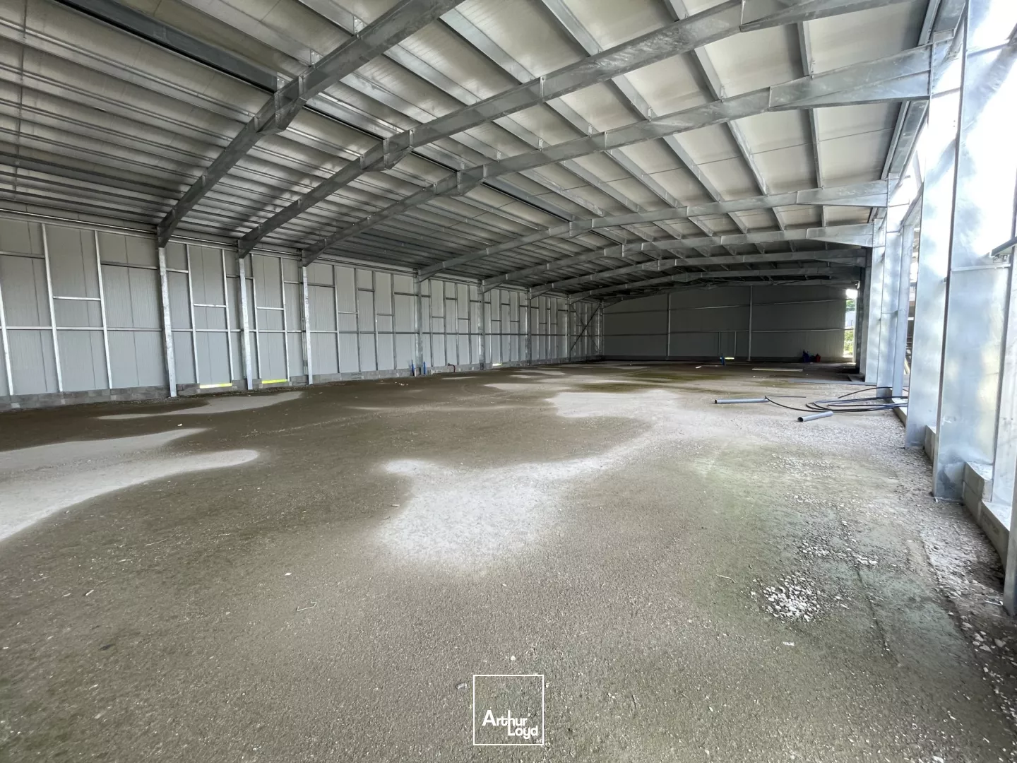 A LOUER - PROJET NEUF 