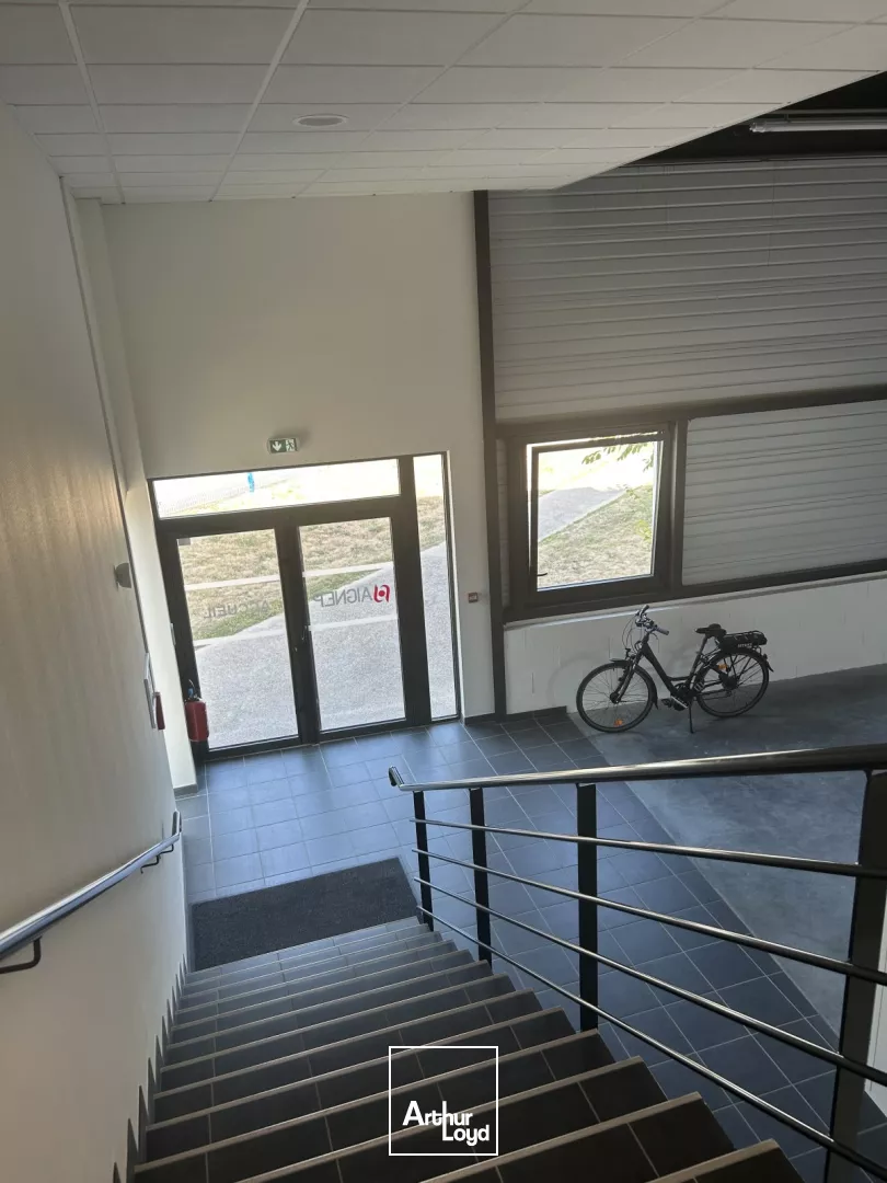 Cellules Activités Carquefou