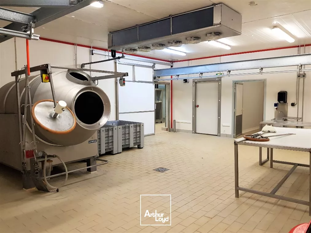 A VENDRE SUD VIENNE - BATIMENT INDUSTRIEL AGRO ALIMENTAIRE DE 900m²