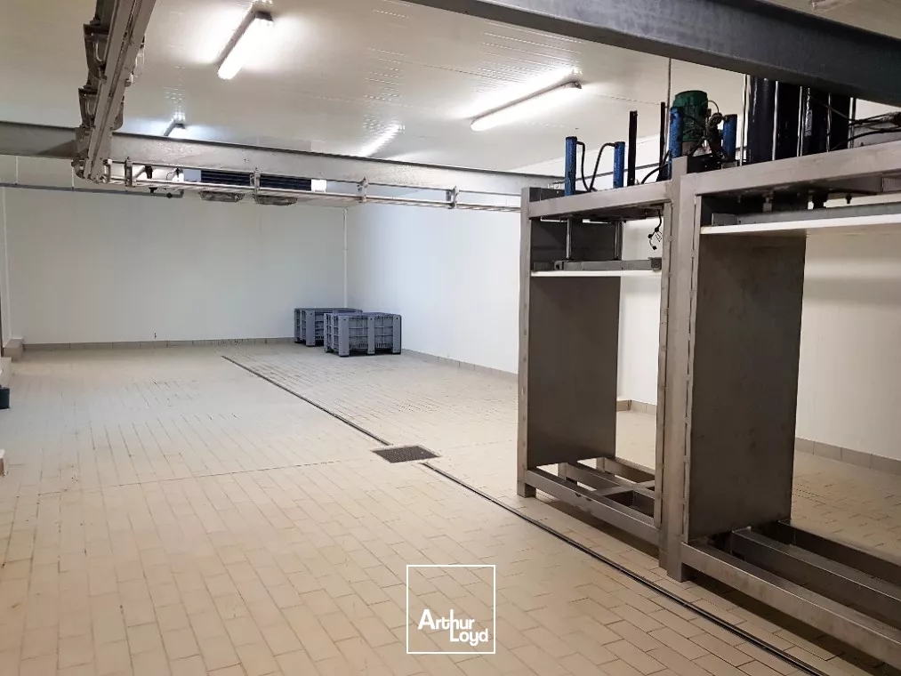 A VENDRE SUD VIENNE - BATIMENT INDUSTRIEL AGRO ALIMENTAIRE DE 900m²