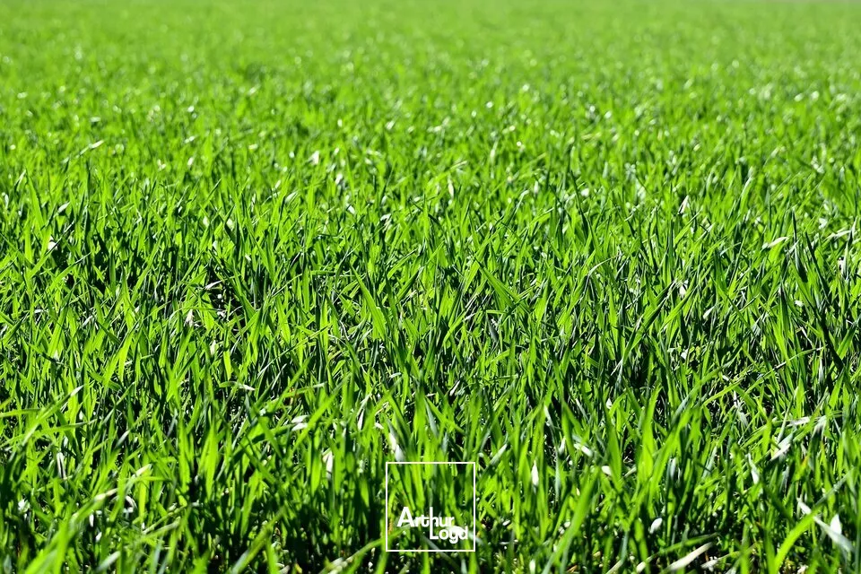 A VENDRE TERRAIN CONSTRUCTIBLE DE 3 000M² EN ZONE INDUSTRIELLE CHATELLERAULT NORD (86)