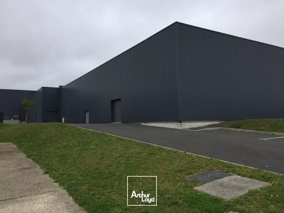 A LOUER LOCAL COMMERCIAL DE 783m² EN ZONE COMMERCIALE A NEUVILLE DE POITOU (86)