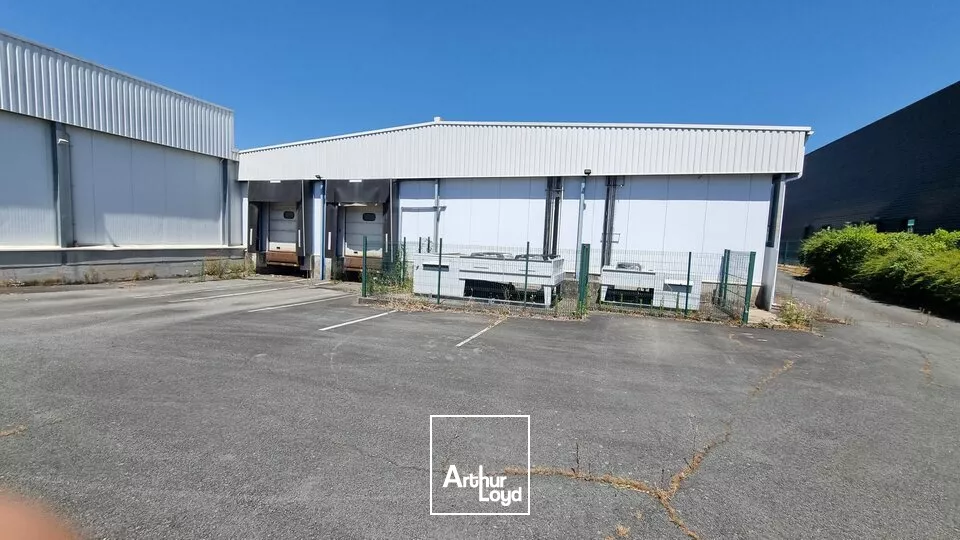 LOCAL D'ACTIVITÉ A VENDRE AVEC CHAMBRES FROIDES À LOUER  POITIERS RÉPUBLIQUE