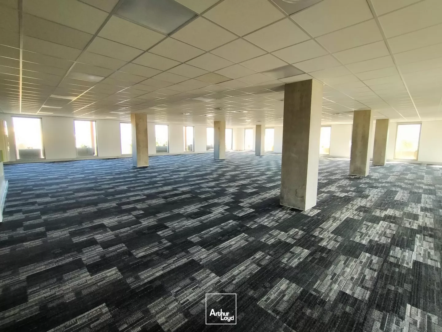 BUREAUX NEUFS A LOUER 432M² A ECHIROLLES AVEC PARKINGS