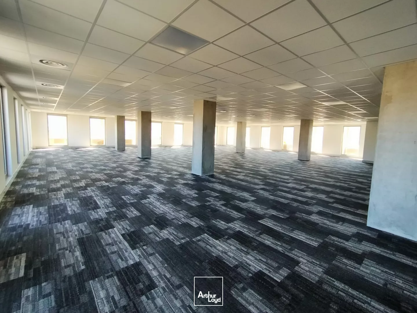 BUREAUX NEUFS A LOUER 432M² A ECHIROLLES AVEC PARKINGS