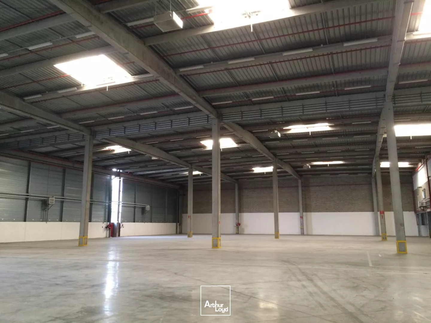 ENTREPOT AVEC QUAIS - A PARTIR DE 1155 M²