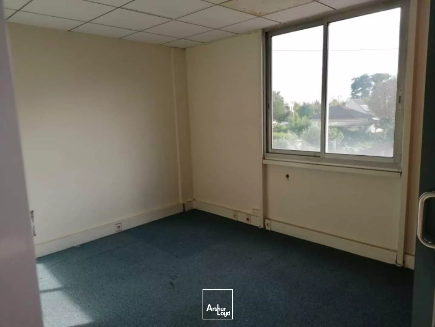 Cellules d'activités à louer à partir de 216m²