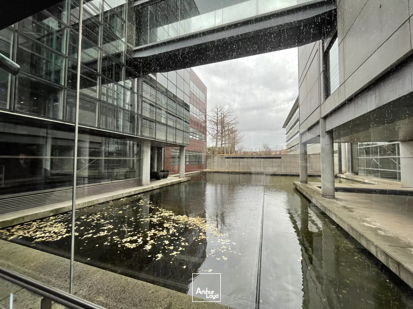 Bureaux lumineux à louer - Nombreux services - Berges de Seine 