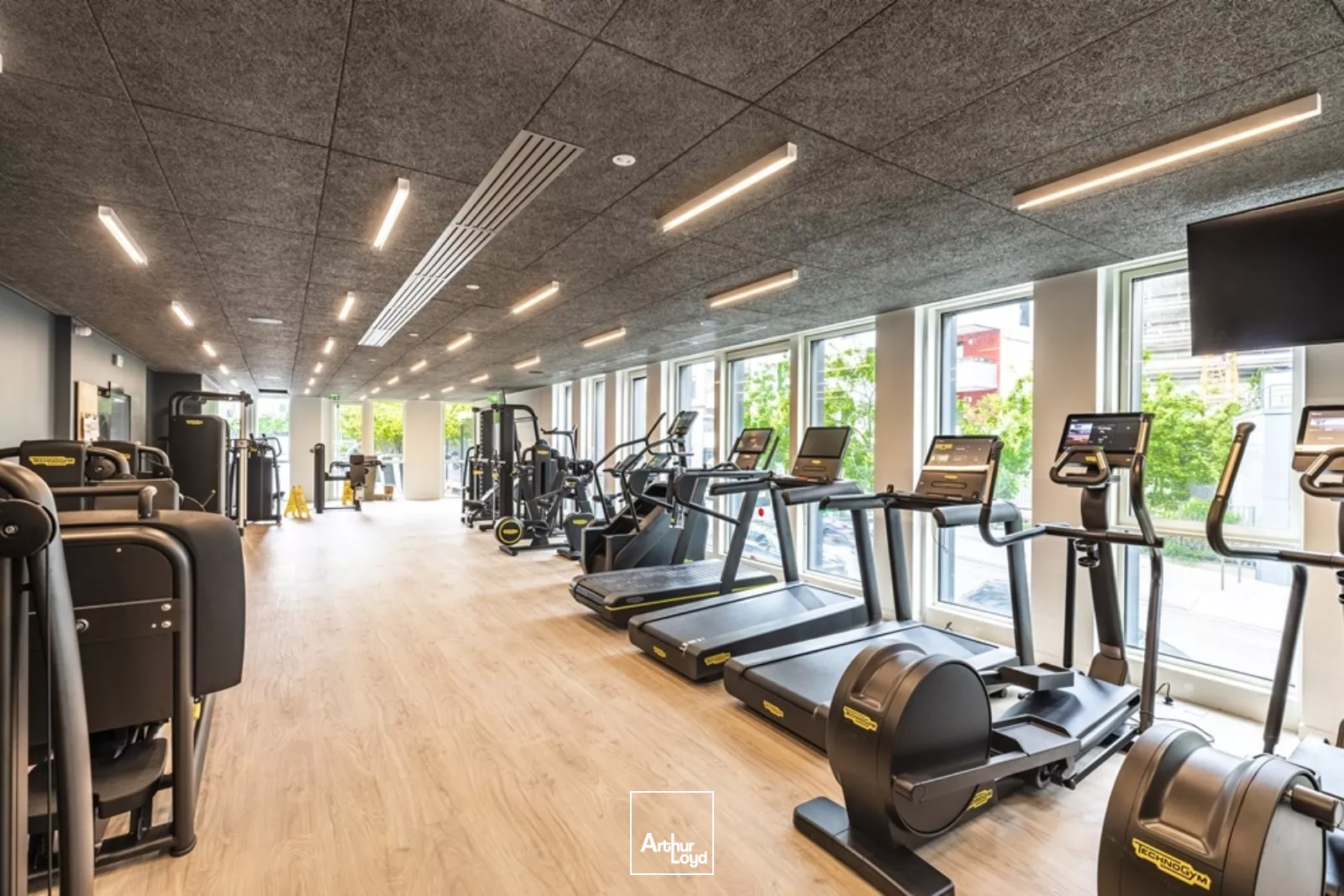 Bureaux rénovés avec jardin, à louer à Colombes