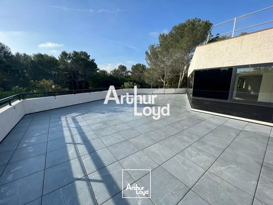 Ecoryzon - Bureaux rénovés 1027,46 m² divisibles à louer - Sophia Antipolis