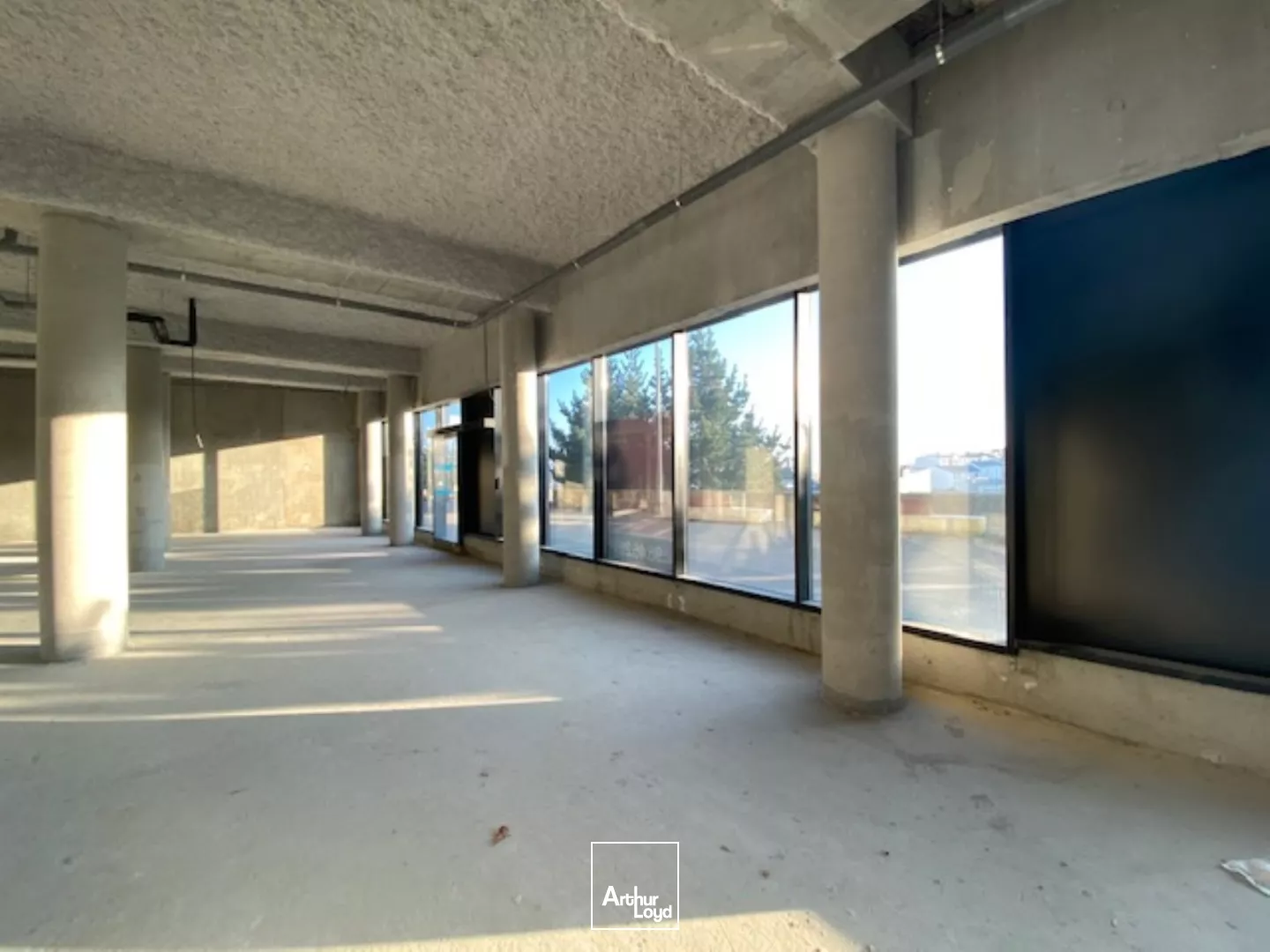 LOCAL COMMERCIAL PLATEAU DES CAPUCINSA BRST RIVE DROITE A VENDRE