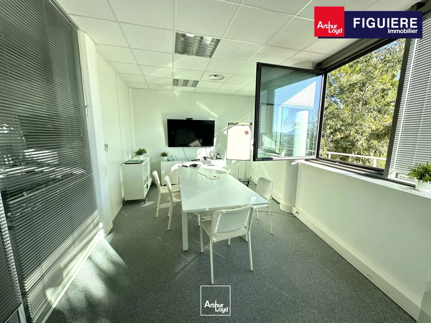 BUREAUX AVEC VUE DÉGAGÉE ET PARKING À LOUER