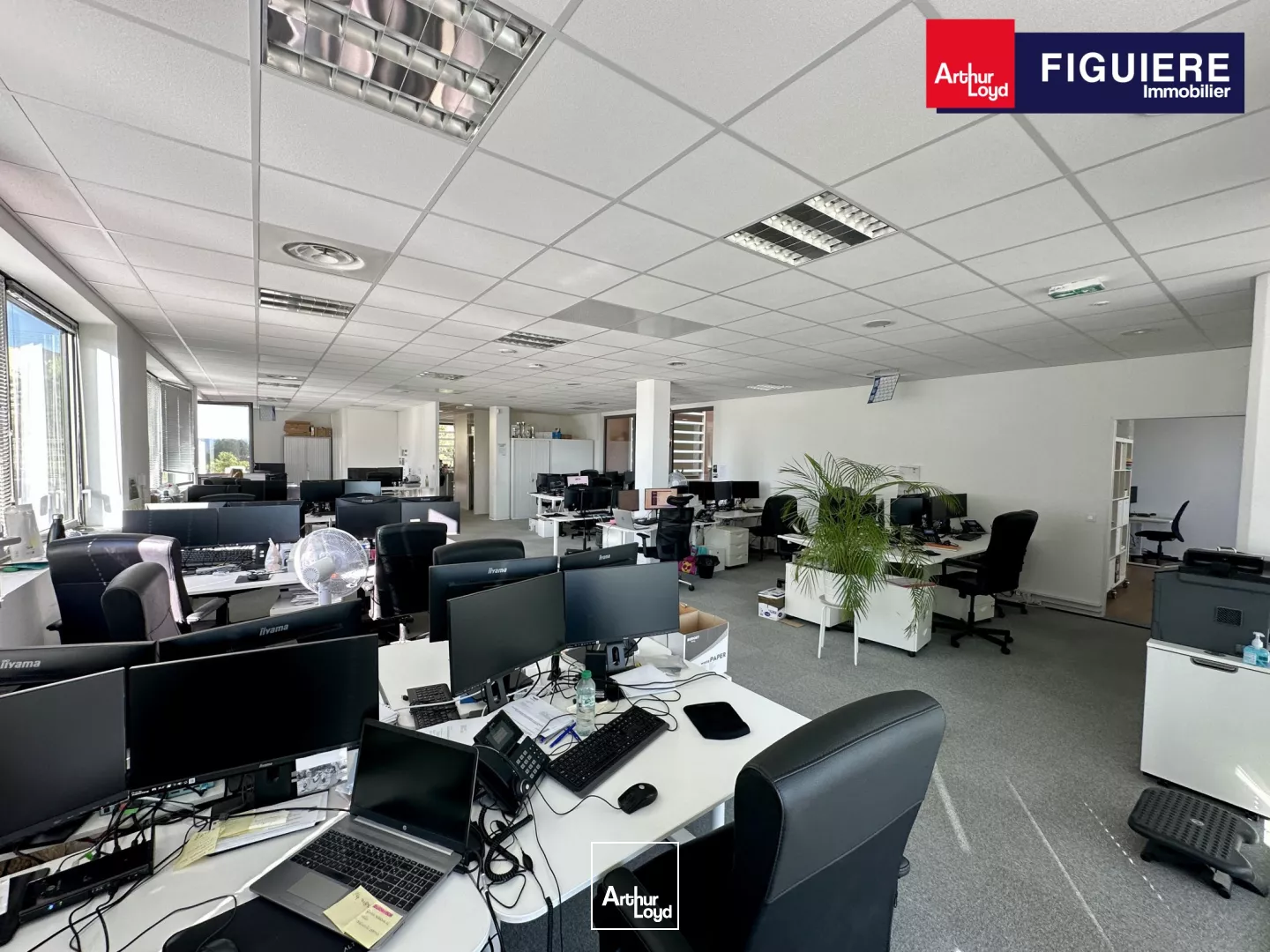 BUREAUX AVEC VUE DÉGAGÉE ET PARKING À LOUER