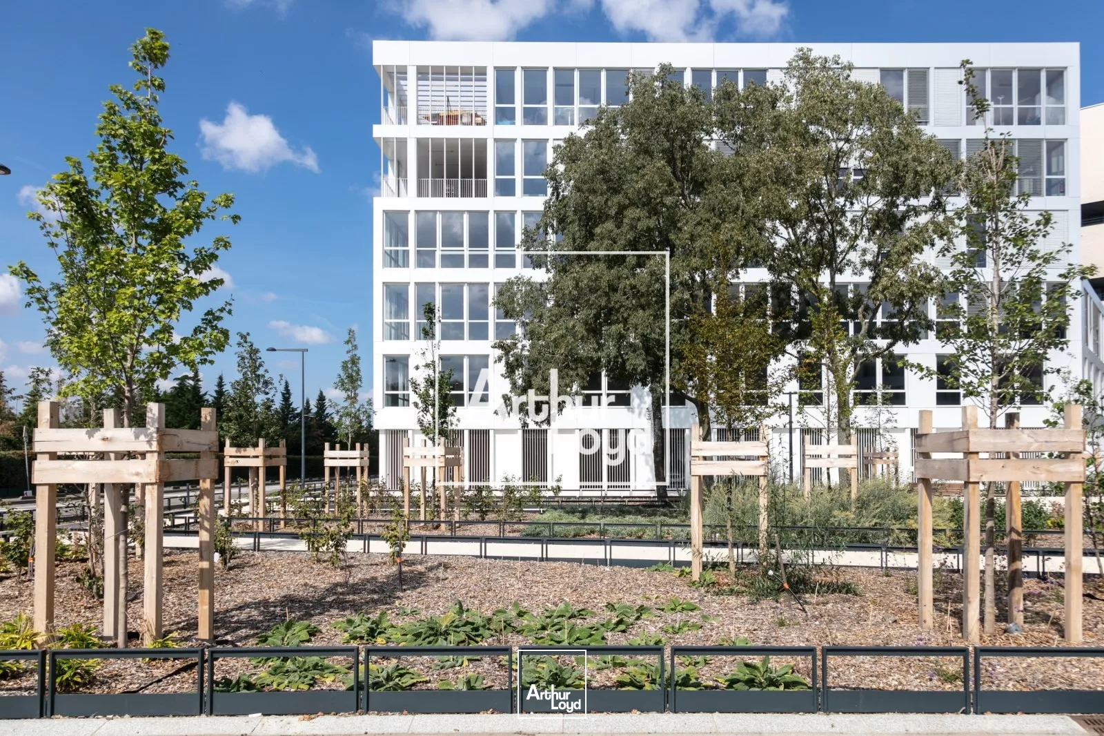 LOCATION BUREAU - IMMEUBLE RT2012 - 165 m² - TOULOUSE