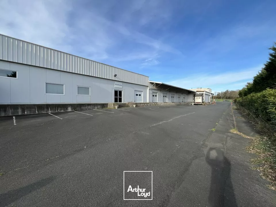 A LOUER LOCAL LOGISTIQUE AVEC RACKS ET QUAIS - POITIERS EST - 1330 m²