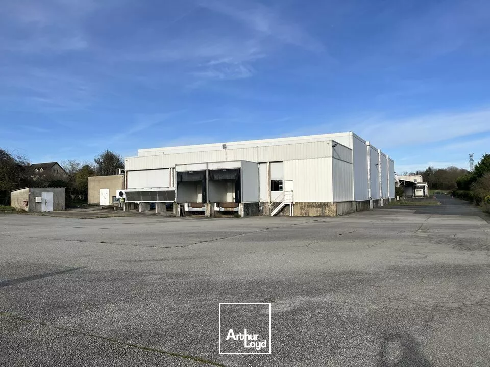 A LOUER LOCAL LOGISTIQUE AVEC RACKS ET QUAIS - POITIERS EST - 1330 m²