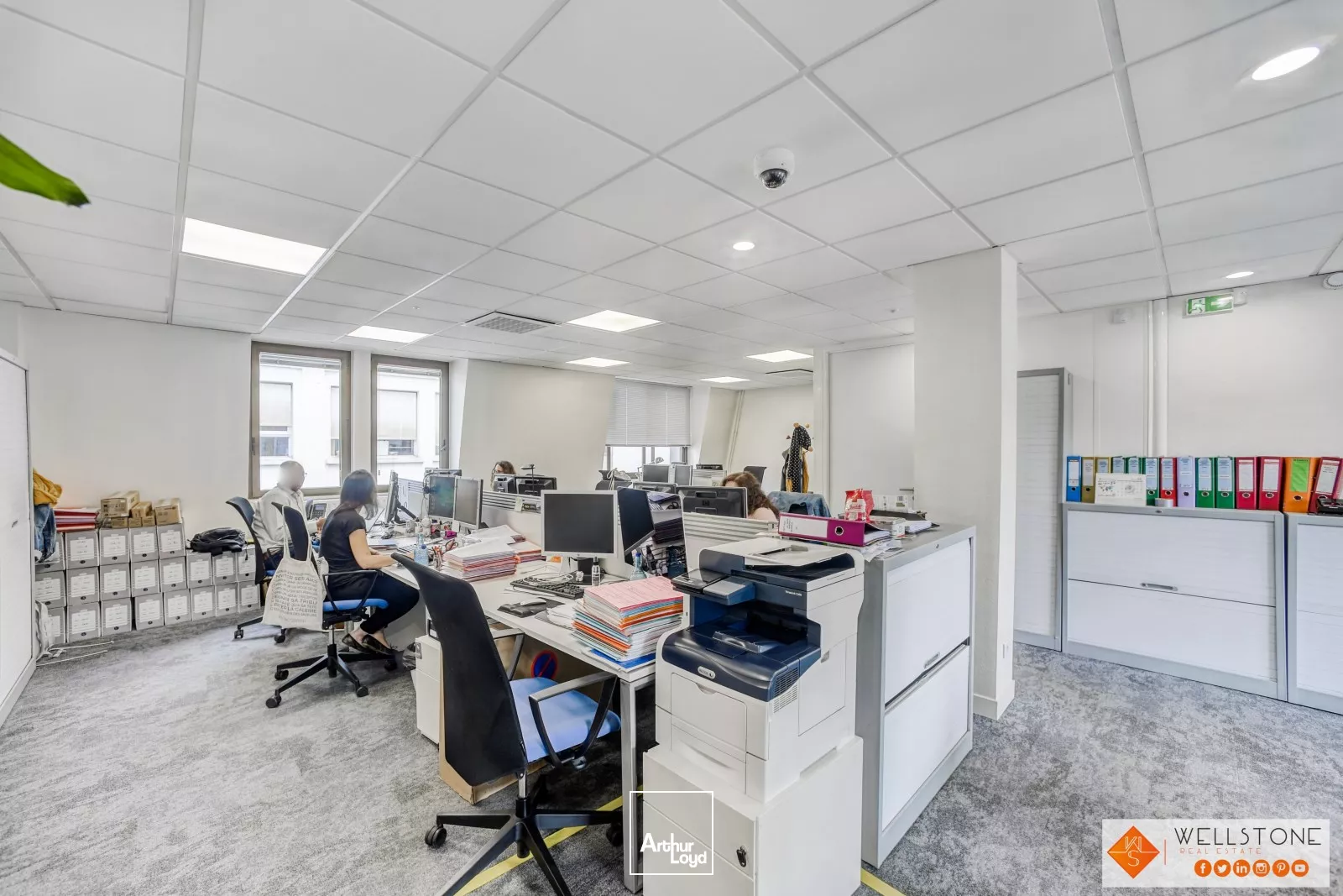 Bureaux avec terrasses!