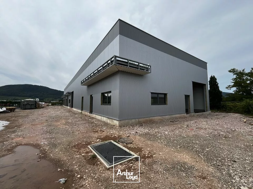 LOCAL D'ACTIVITE - ENTREPOT à VENDRE de 223.5 m²