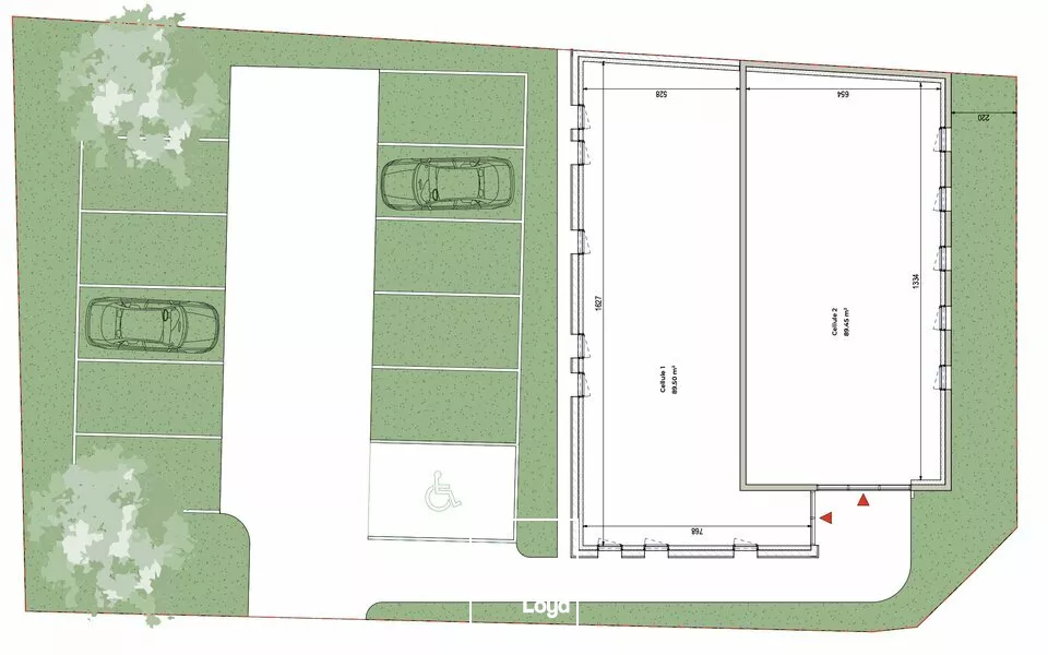 LOCAL COMMERCIAL location à BRIVE-LA-GAILLARDE 19100