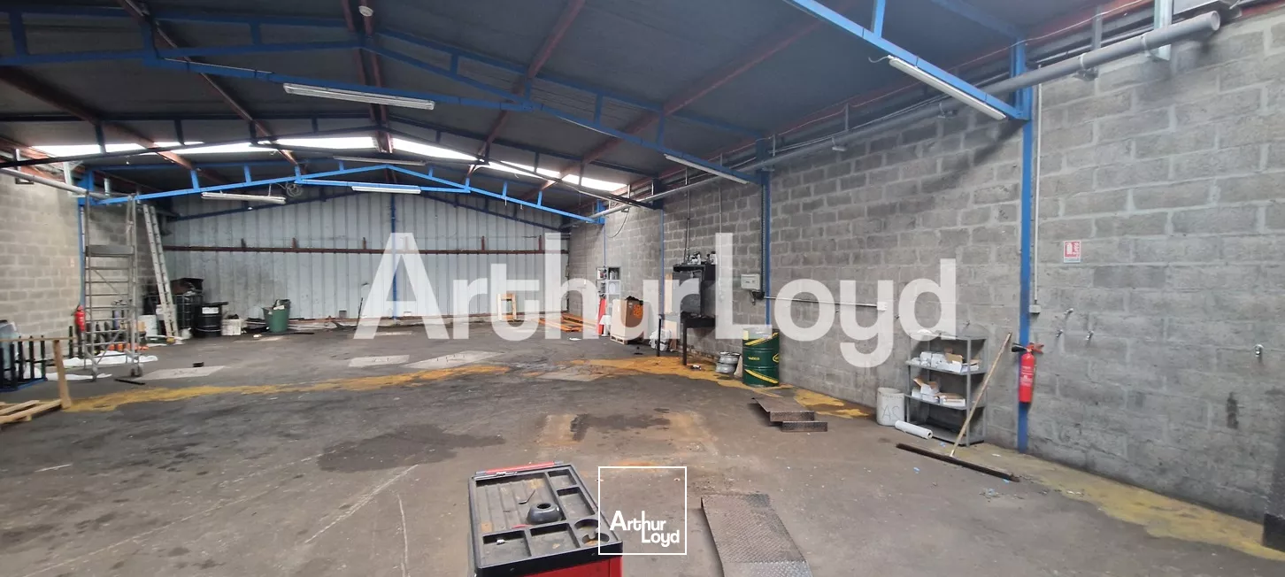 LOCAL ACTIVITE - IFS - 291 M²