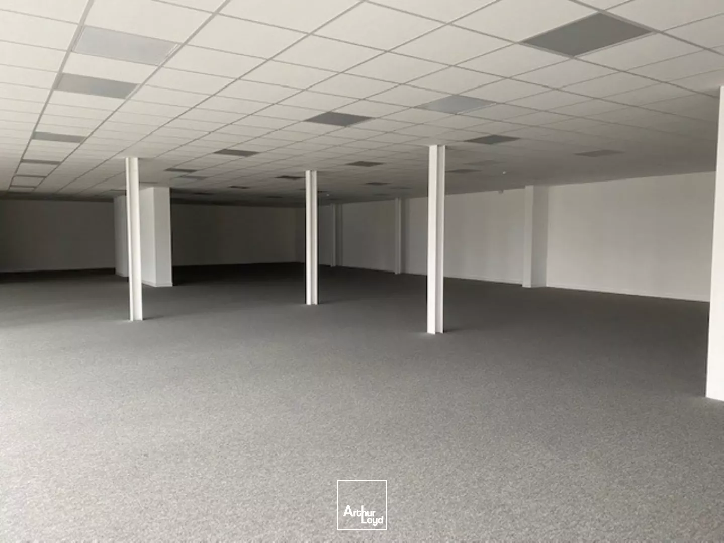 SOUS-LOCATION DE BUREAUX ET LOCAUX D'ACTIVITE - PLOUFRAGAN