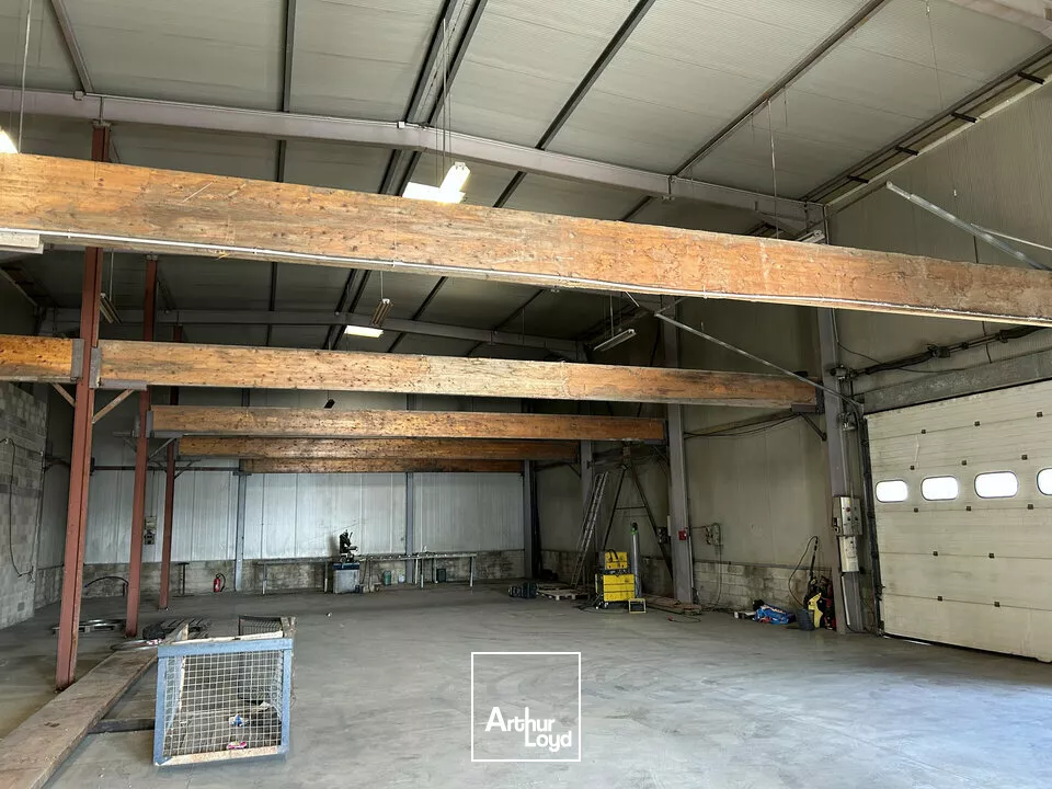 LOCAL D'ACTIVITE - ENTREPOT à LOUER de 900 m²