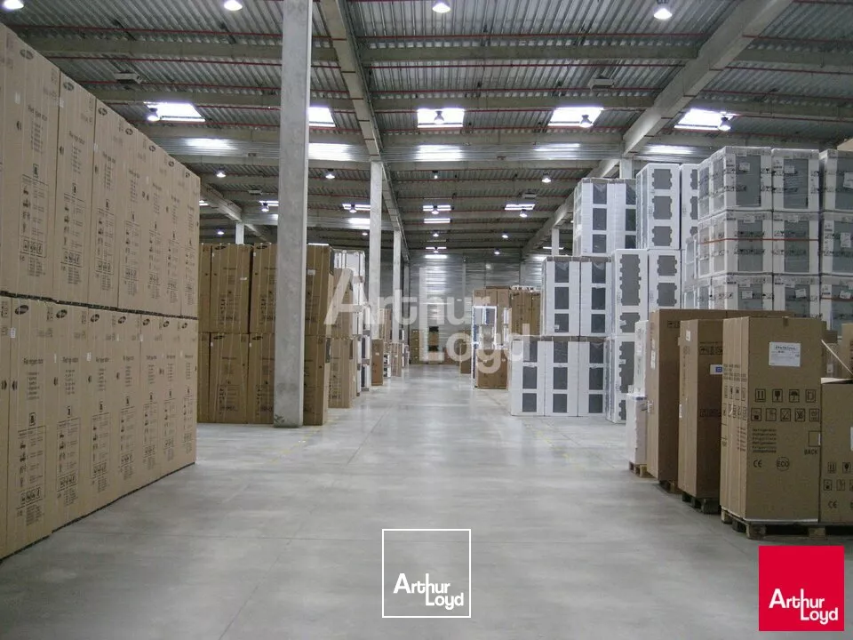 PROCHE BLOIS - LOCATION ENTREPÔT LOGISTIQUE DE 12 062,80² M² - PARC A10