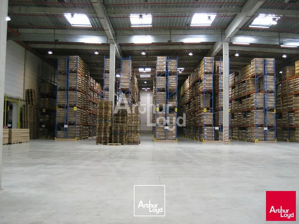 PROCHE BLOIS - LOCATION ENTREPÔT LOGISTIQUE DE 12 062,80² M² - PARC A10