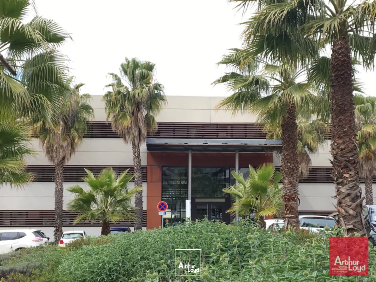 A LOUER - BUREAUX ESPRIT CAMPUS - PARC CLUB DU MILLENAIRE MONTPELLIER - GRAND PARKING