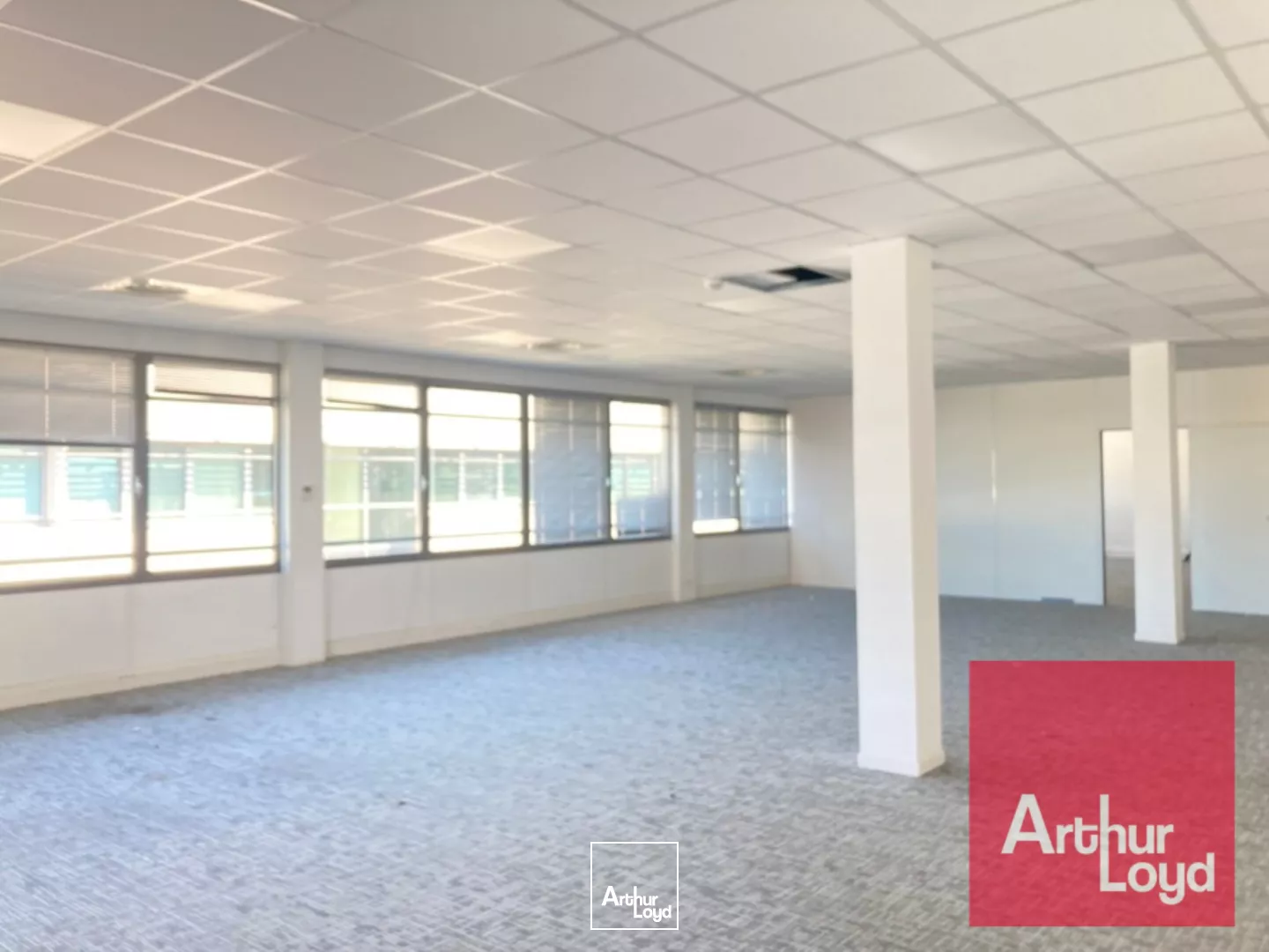 BUREAUX A LOUER PARC DE L'AEROPORT PEROLS
