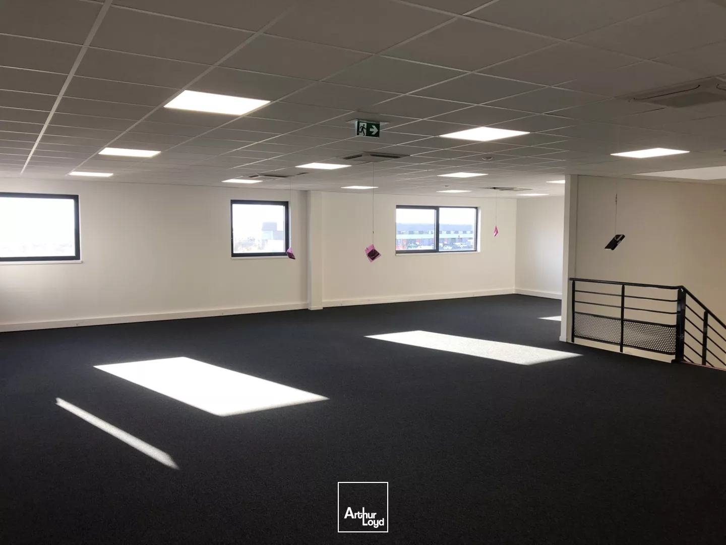 Locaux d'activité à quai à louer à partir de 1 310 m² - Le Thillay, hub logistique Grand Paris