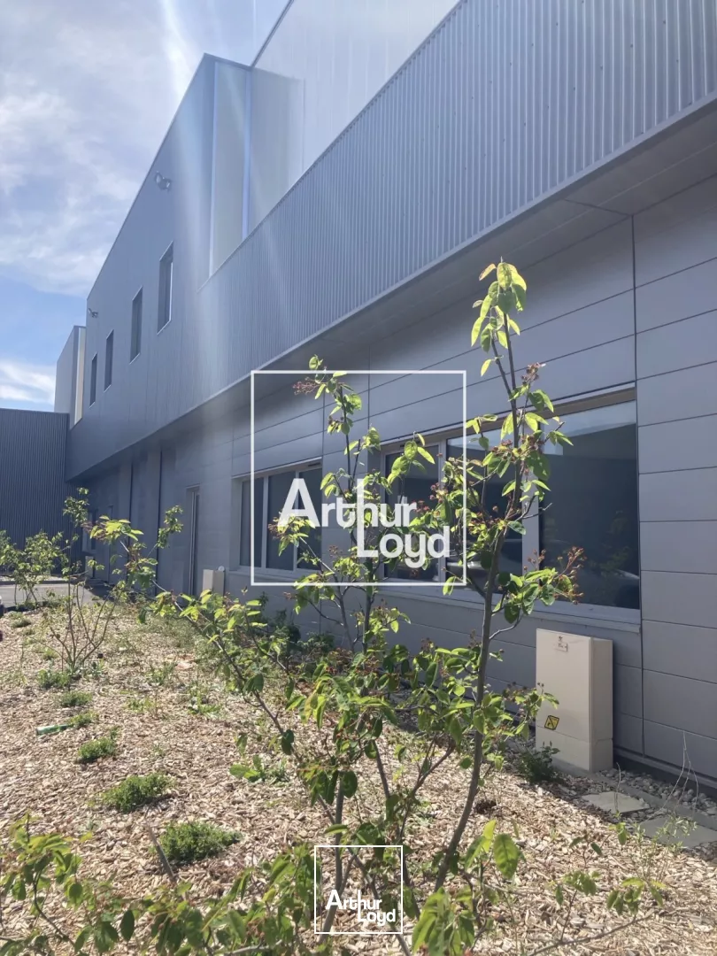 LOCAL D'ACTIVITE A LOUER ESCALQUENS