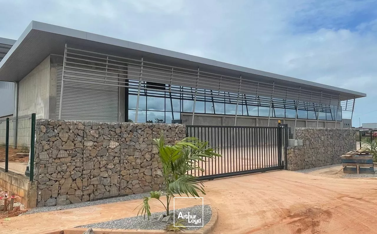 A LOUER Bureaux Cayenne de 40 à 165 m2