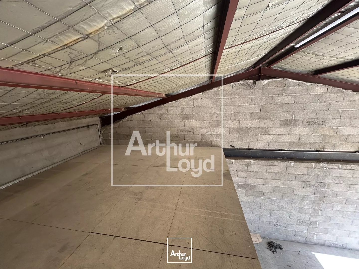 Local d'activité - Villelongue-dels-monts - à louer 