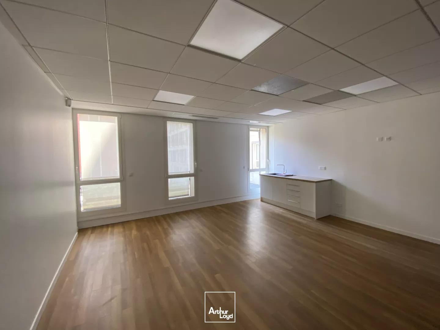 2 BUREAUX A LOUER DE 334 M² - SECTEUR PALAIS DE JUSTICE A GRENOBLE 