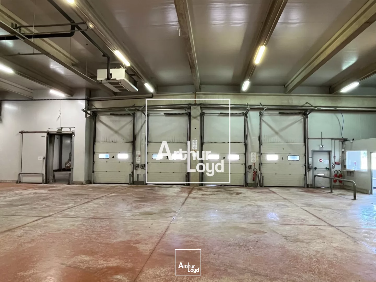 ENTREPÔT LOGISTIQUE À LOUER - MONTAUBAN