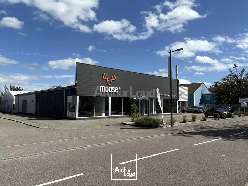 LOCAL COMMERCIAL à LOUER de 540 m²