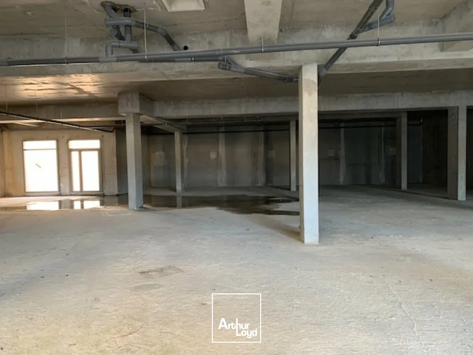 Murs commerciaux à vendre - Les Angles - programme neuf - VEFA