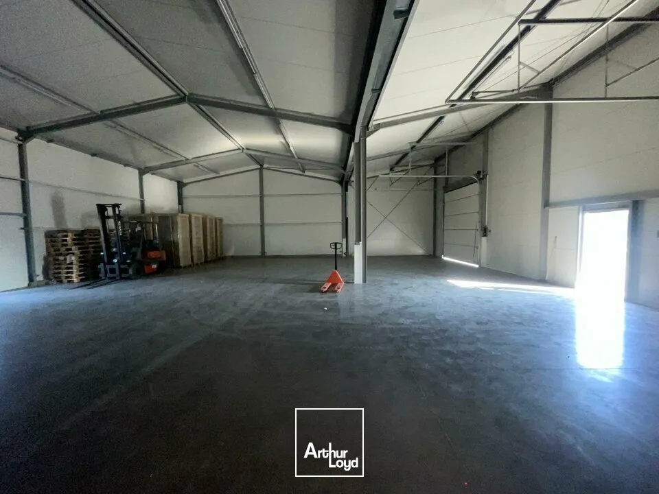 LOCAL D'ACTIVITE DE 300M² - MONTAIGU - A LOUER