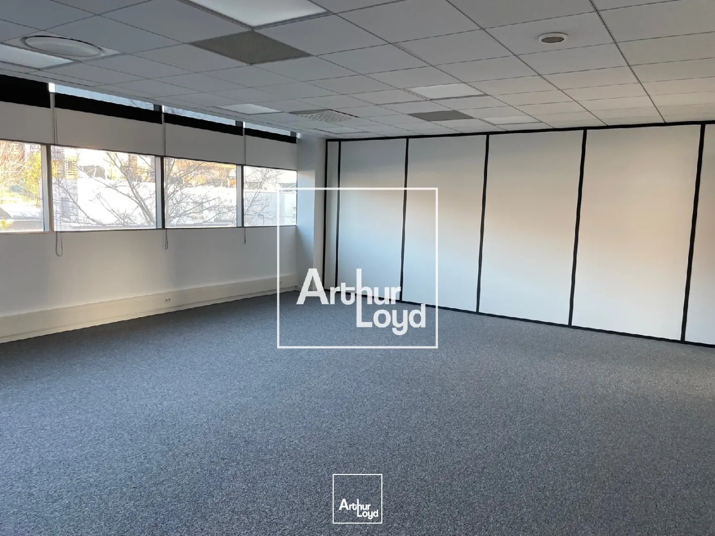 BUREAUX A LOUER A PARTIR DE 196 m² - BALMA 