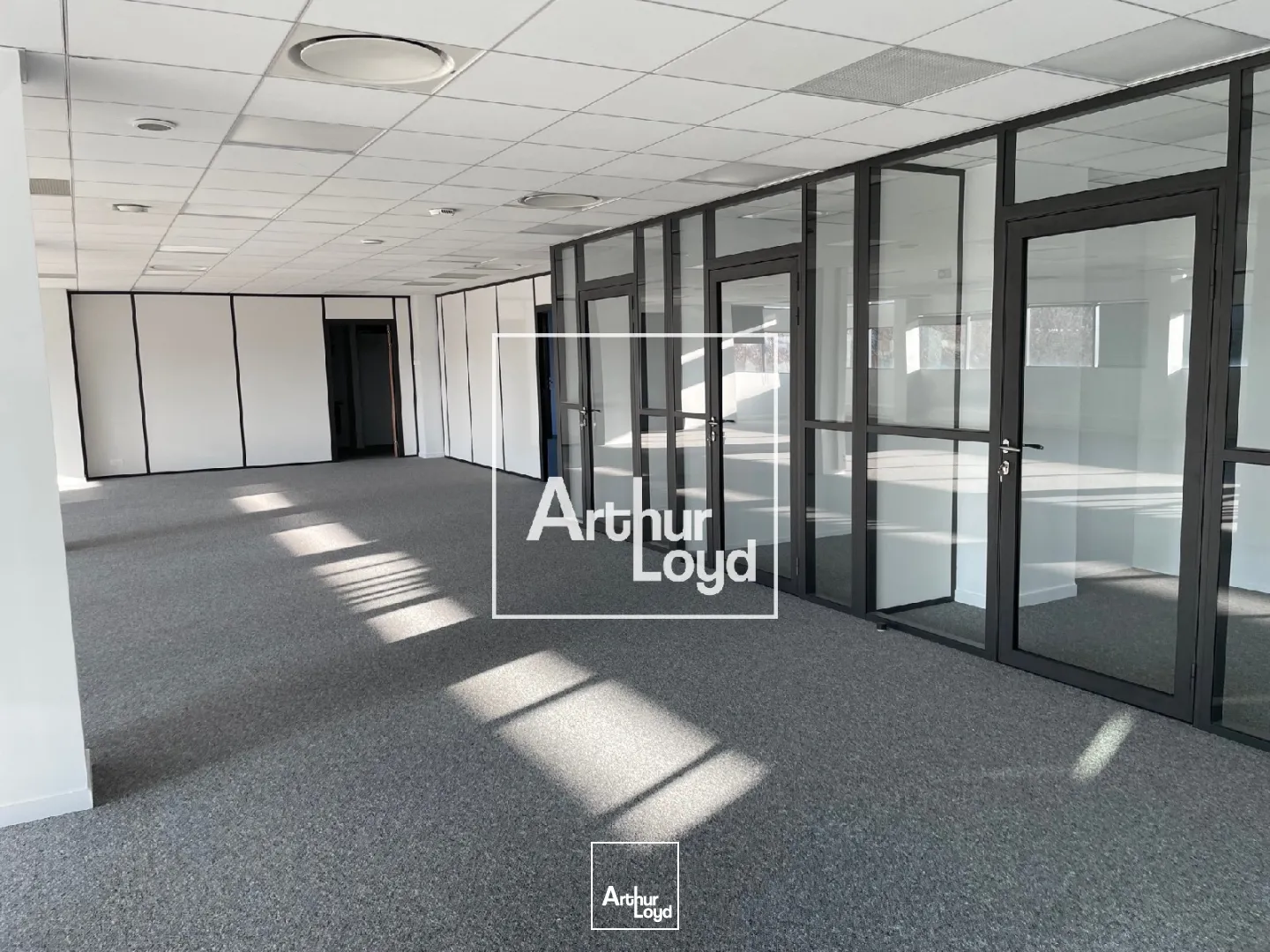 BUREAUX A LOUER A PARTIR DE 196 m² - BALMA 