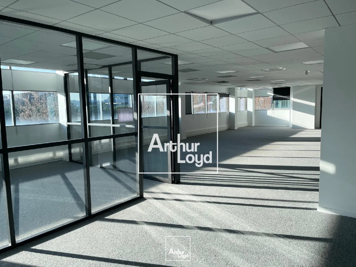 BUREAUX A LOUER A PARTIR DE 196 m² - BALMA 
